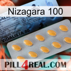 Nizagara 100 44